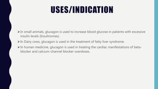 USES/INDICATION
In small animals, glucagon is used to increase blood glucose in patients with excessive
insulin levels (Insulinomas).
In Dairy cows, glucagon is used in the treatment of fatty liver syndrome.
In human medicine, glucagon is used in treating the cardiac manifestations of beta-
blocker and calcium-channel blocker overdoses.
 