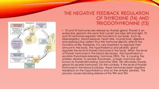 THE NEGATIVE FEEDBACK REGULATION
OF THYROXINE (T4) AND
TRIIODOTHYRONINE (T3)
• T3 and T4 hormones are release by thyroid gland. Thyroid is an
endocrine gland in the neck that consist two lobs: left and right. T3
and T4 hormones regulate vital functions in our body. Such as
bioenergetics, blood pressure, heart rate, muscle tone, digestive
and reproductive system Thus this hormone directly affects the
functions of life. Therefore, it is very important to regulate their
amount in the body. The hypothalamus and pituitary gland
regulate the level of thyroid hormones in the body. When the level
of thyroid hormones in the blood decreases, the hypothalamus
secretes thyrotropin-releasing hormone (TRH). This is causing the
anterior pituitary to secrete thyrotropin, a tropic hormone also
known as thyroid-stimulating hormone (TSH). TSH stimulates thyroid
gland for secrete hormones. On the contrary, if the level of thyroid
hormones in the blood increases, these hormones exert negative
feedback on the hypothalamus and on the anterior pituitary. This
process causes blocking release of the TRH and TSH.
 