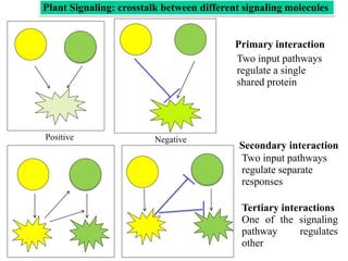 Hormone signaling | PPT
