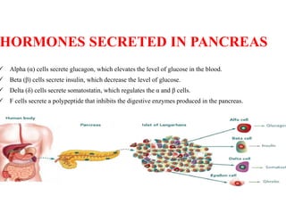 Hormones involved in regulation of blood glucose | PDF