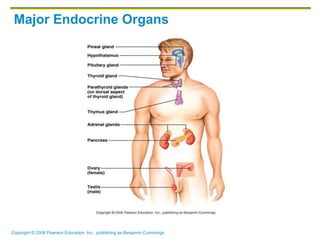 Copyright © 2006 Pearson Education, Inc., publishing as Benjamin Cummings
Major Endocrine Organs
 