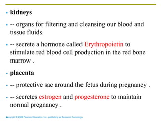 Copyright © 2006 Pearson Education, Inc., publishing as Benjamin Cummings
 kidneys
 -- organs for filtering and cleansing our blood and
tissue fluids.
 -- secrete a hormone called Erythropoietin to
stimulate red blood cell production in the red bone
marrow .
 placenta
 -- protective sac around the fetus during pregnancy .
 -- secretes estrogen and progesterone to maintain
normal pregnancy .

 