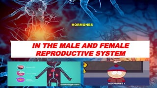 hormones male and female reproductive System | PPTX