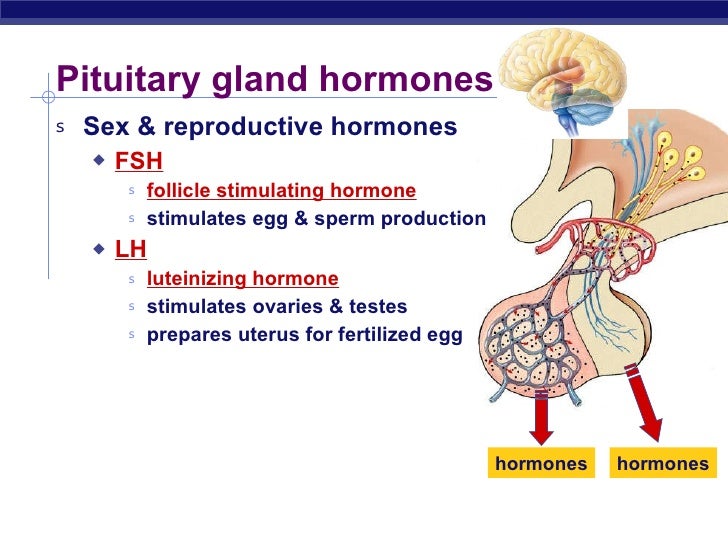 Hormones And Reproduction