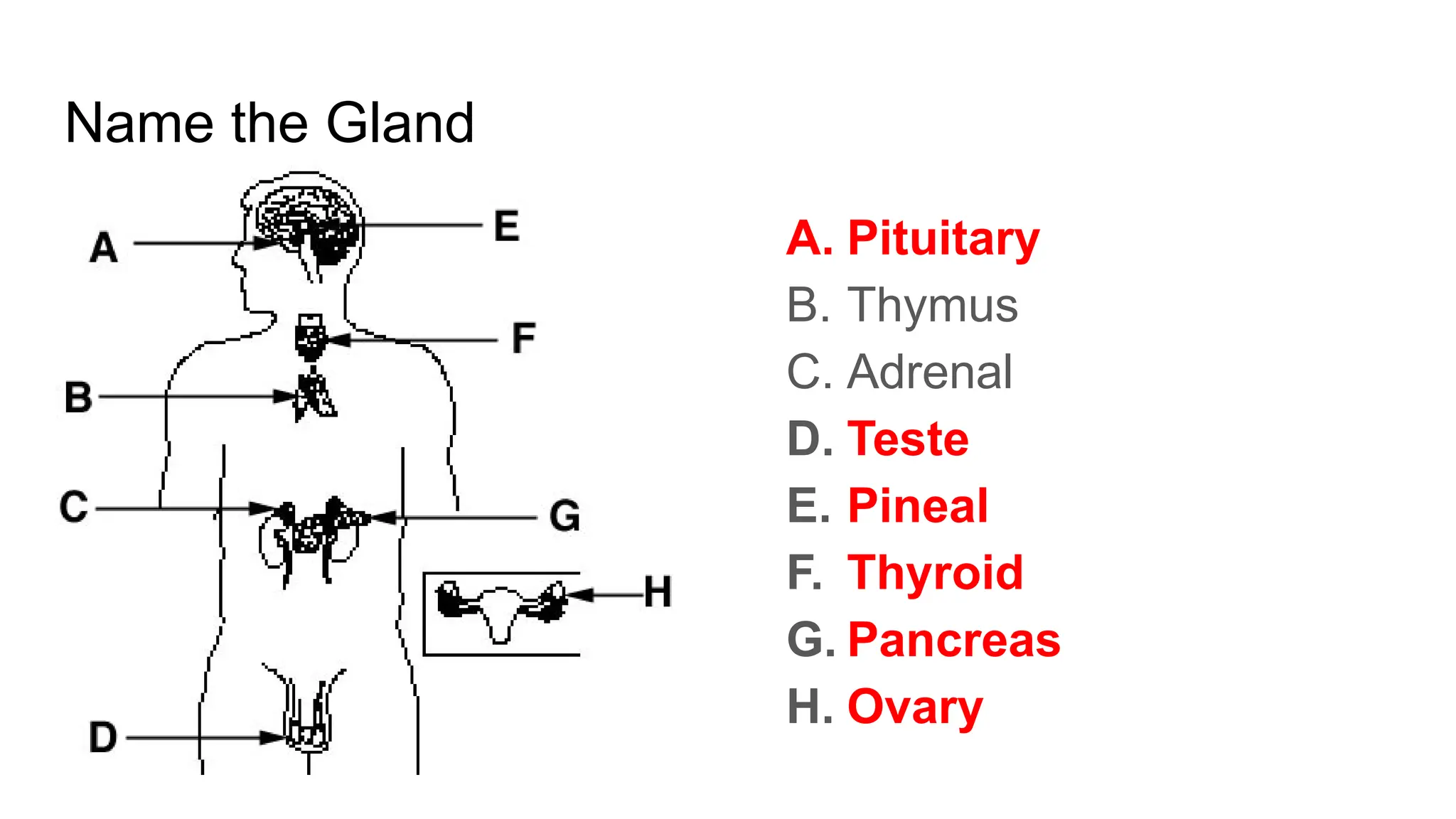 Hormones review about hormones and endocrine system.pptx