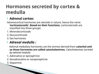 Hormones secreted by the adrenal cortex and medulla.pptx