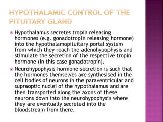  Hypothalamus secretes tropin releasing 
hormones (e.g. gonadotropin releasing hormone) 
into the hypothalamopituitary portal system 
from which they reach the adenohypophysis and 
stimulate the secretion of the respective tropin 
hormone (In this case gonadotropin). 
 Neurohypophysis hormone secretion is such that 
the hormones themselves are synthesised in the 
cell bodies of neurons in the paraventricular and 
supraoptic nuclei of the hypothalamus and are 
then transported along the axons of these 
neurons down into the neurohypophysis where 
they are eventually secreted into the 
bloodstream from there. 
 