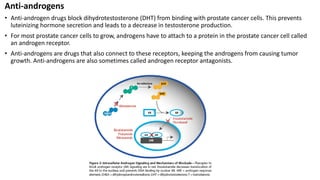 Prostate Cancer/ Medicinal Chemistry | PDF
