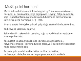 Muški polni hormoni
Muški seksualni hormoni ili androgeni (grč. andros = muškarac)
hormoni su proizvodi lučenja Lejdigovih (Leydig) ćelija semenika
koje je pod kontrolom gonadotropnih hormona adenohipofize:
luteinizirajućeg hormona (LH) i FSH.
Prema svojoj hemijskoj prirodi pripadaju steroidnim hormonima.
Kod čoveka uzrokuju pojavu:
Sekundarnih seksualnih osobina, koje se kod čoveka razvijaju u
vreme puberteta:
Kosmatost muškog tipa (brada i brkovi, maljavost tela),
razvijenost mišića i kostura,dubina glasa,veći bazalni metabolizam
nego kod ženskog pola
Razviće primarnih karakteristika muškarca:testisa,
mošnica,prostate,kopulatornog organa,semenih vezikula
 
