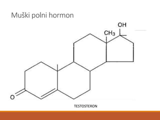 Muški polni hormon
TESTOSTERON
 
