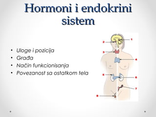 Hormoni i endokriniHormoni i endokrini
sistemsistem
• Uloge i pozicija
• Građa
• Način funkcionisanja
• Povezanost sa ostatkom tela
 