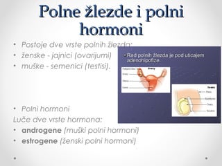 Polne žlezde i polniPolne žlezde i polni
hormonihormoni
• Postoje dve vrste polnih žlezda:
• ženske - jajnici (ovarijumi)
• muške - semenici (testisi).
• Polni hormoni
Luče dve vrste hormona:
• androgene (muški polni hormoni)
• estrogene (ženski polni hormoni)
 
