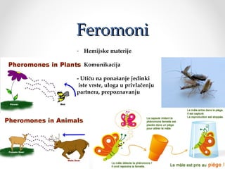 FeromoniFeromoni
- Hemijske materije
- Komunikacija
- Utiču na ponašanje jedinki
iste vrste, uloga u privlačenju
partnera, prepoznavanju
 