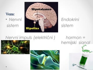 Veza:Veza:
• Nervni Endokrini
sistem sistem
Nervni impuls (električni ) hormon =
hemijski signal
 