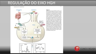REGULAÇÃO DO EIXO HGH
 