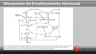 Mecanismo do Envelhecimento Hormonal
 