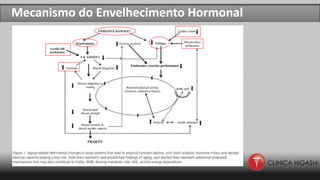 Mecanismo do Envelhecimento Hormonal
 