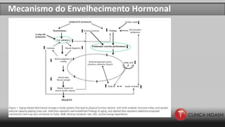 Mecanismo do Envelhecimento Hormonal
 