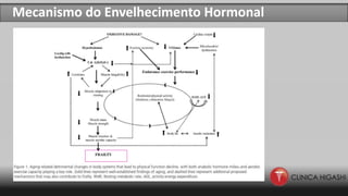 Mecanismo do Envelhecimento Hormonal
 