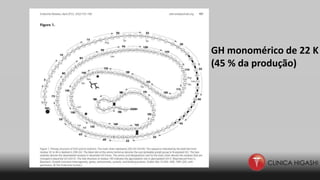 GH monomérico de 22 K
(45 % da produção)
 