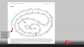 Formas de GH
desaminadas
(acetiladas ou
glicosiladas)
 