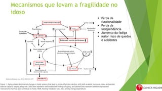 Mecanismos que levam a fragilidade no
idoso
 Perda da
funcionalidade
 Perda da
independência
 Aumento da fadiga
 Maior risco de quedas
e acidentes
 