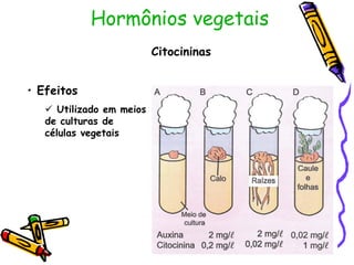 Hormônios vegetais
• Efeitos
 Utilizado em meios
de culturas de
células vegetais
Citocininas
 