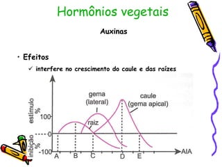 • Efeitos
 interfere no crescimento do caule e das raízes
Hormônios vegetais
Auxinas
 