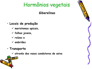 Hormônios vegetais
Giberelinas
• Locais de produção
 meristemas apicais,
 folhas jovens,
 raízes e
 embriões
• Transporte
 através dos vasos condutores de seiva
 