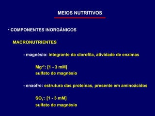MEIOS NUTRITIVOS COMPONENTES INORGÂNICOS MACRONUTRIENTES - magnésio:  integrante da clorofila, atividade de enzimas Mg +2 : [1 - 3 mM] sulfato de magnésio - enxofre:  estrutura das proteínas, presente em aminoácidos SO 4 - : [1 - 3 mM] sulfato de magnésio 