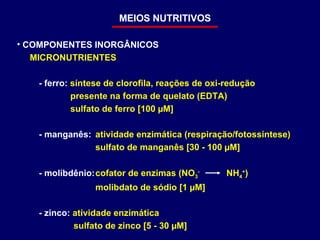 MEIOS NUTRITIVOS COMPONENTES INORGÂNICOS MICRONUTRIENTES - ferro:  síntese de clorofila, reações de oxi-redução presente na forma de quelato (EDTA) sulfato de ferro [100 µM] - manganês:   atividade enzimática (respiração/fotossíntese) sulfato de manganês [30 - 100 µM] - molibdênio: cofator de enzimas (NO 3 -   NH 4 + ) molibdato de sódio [1 µM] - zinco:  atividade enzimática sulfato de zinco [5 - 30 µM] 