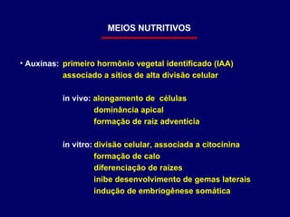 Auxinas:   primeiro hormônio vegetal identificado (IAA) associado a sítios de alta divisão celular in vivo:  alongamento de  células dominância apical formação de raiz adventícia in vitro: divisão celular, associada a citocinina formação de calo diferenciação de raízes inibe desenvolvimento de gemas laterais indução de embriogênese somática MEIOS NUTRITIVOS 
