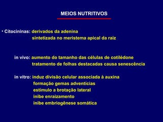 MEIOS NUTRITIVOS Citocininas:  derivados da adenina sintetizada no meristema apical da raiz in vivo:  aumento do tamanho das células de cotilédone tratamento de folhas destacadas causa senescência in vitro:  induz divisão celular associada à auxina   formação gemas adventícias   estímulo a brotação lateral   inibe enraizamento   inibe embriogênese somática 