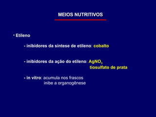 Etileno - inibidores da síntese de etileno :  cobalto - inibidores da ação do etileno :  AgNO 3 tiosulfato de prata - in vitro : acumula nos frascos inibe a organogênese MEIOS NUTRITIVOS 