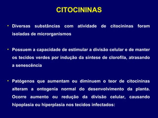 CITOCININAS Diversas substâncias com atividade de citocininas foram isoladas de microrganismos Possuem a capacidade de estimular a divisão celular e de manter os tecidos verdes por indução da síntese de clorofila, atrasando a senescência Patógenos que aumentam ou diminuem o teor de citocininas alteram a ontogenia normal do desenvolvimento da planta. Ocorre aumento ou redução da divisão celular, causando hipoplasia ou hiperplasia nos tecidos infectados: 