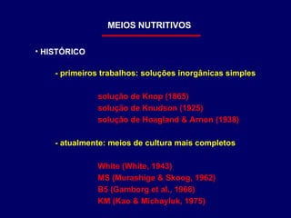 MEIOS NUTRITIVOS HISTÓRICO - primeiros trabalhos: soluções inorgânicas simples solução de Knop (1865) solução de Knudson (1925) solução de Hoagland & Arnon (1938) - atualmente: meios de cultura mais completos White (White, 1943) MS (Murashige & Skoog, 1962) B5 (Gamborg et al., 1968) KM (Kao & Michayluk, 1975) 