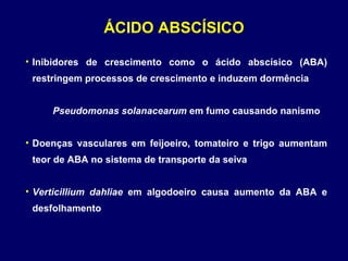 ÁCIDO ABSCÍSICO Inibidores de crescimento como o ácido abscísico (ABA) restringem processos de crescimento e induzem dormência Pseudomonas solanacearum  em fumo causando nanismo Doenças vasculares em feijoeiro, tomateiro e trigo aumentam teor de ABA no sistema de transporte da seiva Verticillium dahliae  em algodoeiro causa aumento da ABA e desfolhamento 