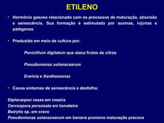 ETILENO Hormônio gasoso relacionado com os processos de maturação, abscisão e senescência. Sua formação é estimulada por auxinas, injúrias e patógenos Produzido em meio de cultura por: Penicillium digitatum  que ataca frutos de citros Pseudomonas solanacearum Erwinia  e  Xanthomonas Causa sintomas de senescência e desfolha: Diplocarpon rosea  em roseira Cercospora personata  em tomateiro Botrytis  sp. em cravo Pseudomonas solanacearum  em banana promove maturação precoce 