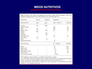 MEIOS NUTRITIVOS 