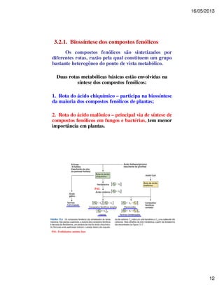 16/05/2013 
12 
3.2.1. Biossíntese dos compostos fenólicos 
Os compostos fenólicos são sintetizados por 
diferentes rotas, razão pela qual constituem um grupo 
bastante heterogêneo do ponto de vista metabólico. 
Duas rotas metabólicas básicas estão envolvidas na 
síntese dos compostos fenólicos: 
1. Rota do ácido chiquímico – participa na biossíntese 
da maioria dos compostos fenólicos de plantas; 
2. Rota do ácido malônico – principal via de síntese de 
compostos fenólicos em fungos e bactérias, tem menor 
importância em plantas. 
PAL 
PAL: Fenilalanina amônia liase 
 