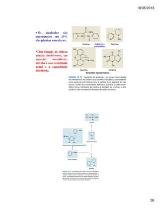 16/05/2013 
26 
Sedativos e 
estimulantes 
• Os alcaloides são 
encontrados em 20% 
das plantas vasculares; 
•Têm função de defesa 
contra herbívoros, em 
especial mamíferos, 
devido à sua toxicidade 
geral e à capacidade 
inibitória. 
 