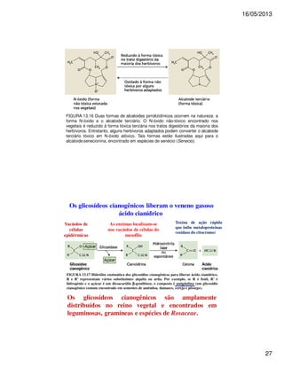 16/05/2013 
27 
FIGURA 13.16 Duas formas de alcaloides pirrolizidínicos ocorrem na natureza: a 
forma N-óxido e o alcaloide terciário. O N-óxido não-tóxico encontrado nos 
vegetais é reduzido à forma tóxica terciária nos tratos digestórios da maioria dos 
herbívoros. Entretanto, alguns herbívoros adaptados podem converter o alcaloide 
terciário tóxico em N-óxido atóxico. Tais formas estão ilustradas aqui para o 
alcaloide senecionina, encontrado em espécies de senécio (Senecio). 
Os glicosídeos cianogênicos liberam o veneno gasoso 
ácido cianídrico 
Vacúolos de 
células 
epidérmicas 
As enzimas localizam-se 
nos vacúolos de células do 
mesofilo 
Toxina de ação rápida 
que inibe metaloproteínas 
(oxidase do citocromo) 
FIGURA 13.17 Hidrólise enzimática dos glicosídios cianogênicos para liberar ácido cianídrico. 
R e R’ representam vários substituintes alquila ou arila. Por exemplo, se R é fenil, R’ é 
hidrogênio e o açúcar é um dissacarídio b-gentibiose, o composto é amigdalina (um glicosídio 
cianogênico comum encontrado em sementes de amêndoa, damasco, cereja e pêssego). 
Os glicosídeos cianogênicos são amplamente 
distribuídos no reino vegetal e encontrados em 
leguminosas, gramíneas e espécies de Rosaceae. 
 