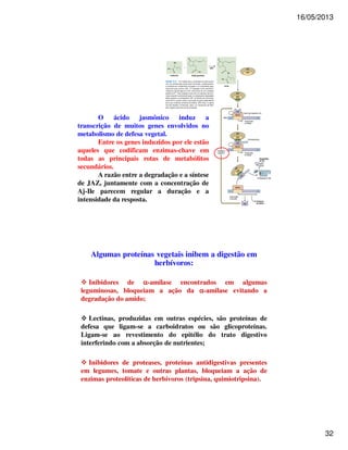 16/05/2013 
32 
O ácido jasmônico induz a 
transcrição de muitos genes envolvidos no 
metabolismo de defesa vegetal. 
Entre os genes induzidos por ele estão 
aqueles que codificam enzimas-chave em 
todas as principais rotas de metabólitos 
secundários. 
A razão entre a degradação e a síntese 
de JAZ, juntamente com a concentração de 
Aj-Ile parecem regular a duração e a 
intensidade da resposta. 
Algumas proteínas vegetais inibem a digestão em 
herbívoros: 
 Inibidores de a-amilase encontrados em algumas 
leguminosas, bloqueiam a ação da a-amilase evitando a 
degradação do amido; 
 Lectinas, produzidas em outras espécies, são proteínas de 
defesa que ligam-se a carboidratos ou são glicoproteínas. 
Ligam-se ao revestimento do epitélio do trato digestivo 
interferindo com a absorção de nutrientes; 
 Inibidores de proteases, proteínas antidigestivas presentes 
em legumes, tomate e outras plantas, bloqueiam a ação de 
enzimas proteolíticas de herbívoros (tripsina, quimiotripsina). 
 