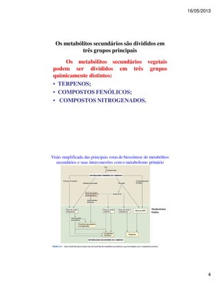16/05/2013 
4 
Os metabólitos secundários são divididos em 
três grupos principais 
Os metabólitos secundários vegetais 
podem ser divididos em três grupos 
quimicamente distintos: 
• TERPENOS; 
• COMPOSTOS FENÓLICOS; 
• COMPOSTOS NITROGENADOS. 
Visão simplificada das principais rotas de biossíntese de metabólitos 
secundários e suas interconexões com o metabolismo primário 
Metileritritol 
fosfato 
 
