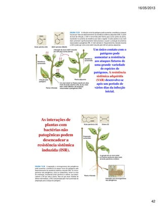 16/05/2013 
42 
Um único contato com o 
patógeno pode 
aumentar a resistência 
aos ataques futuros de 
uma grande variedade 
de espécies de 
patógenos. A resistência 
sistêmica adquirida 
(SAR) desenvolve-se 
após um período de 
vários dias da infecção 
inicial. 
As interações de 
plantas com 
bactérias não 
patogênicas podem 
desencadear a 
resistência sistêmica 
induzida (ISR). 

