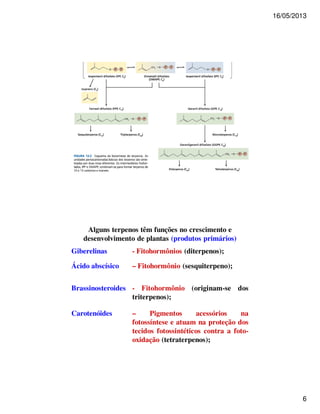 16/05/2013 
6 
Alguns terpenos têm funções no crescimento e 
desenvolvimento de plantas (produtos primários) 
Giberelinas - Fitohormônios (diterpenos); 
Ácido abscísico – Fitohormônio (sesquiterpeno); 
Brassinosteroides - Fitohormônio (originam-se dos 
triterpenos); 
Carotenóides – Pigmentos acessórios na 
fotossíntese e atuam na proteção dos 
tecidos fotossintéticos contra a foto-oxidação 
(tetraterpenos); 
 