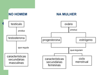 NO HOMEM   NA MULHER
 