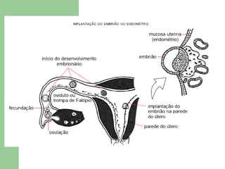 Maternidade e paternidade na Adolescência