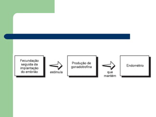 Maternidade e paternidade na Adolescência