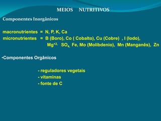 Componentes Inorgânicos
macronutrientes = N, P, K, Ca
micronutrientes = B (Boro), Co ( Cobalto), Cu (Cobre) , I (Iodo),
Mg+2, SO4, Fe, Mo (Molibdenio), Mn (Manganês), Zn
•Componentes Orgânicos
- reguladores vegetais
- vitaminas
- fonte de C
MEIOS NUTRITIVOS
 